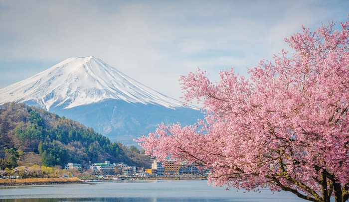 詳細介紹日本公司報稅流程是怎樣的？