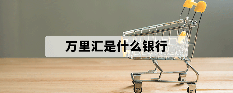 詳細(xì)介紹萬(wàn)里匯是什么銀行？